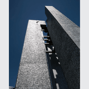 ALUSION™ Large Cell gallery detail image