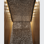 ALUSION™ Large Cell gallery detail image