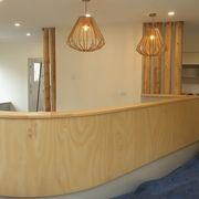 Austral Bendy | Flexible ply for curved applications gallery detail image