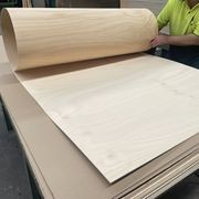 Austral Bendy | Flexible ply for curved applications gallery detail image