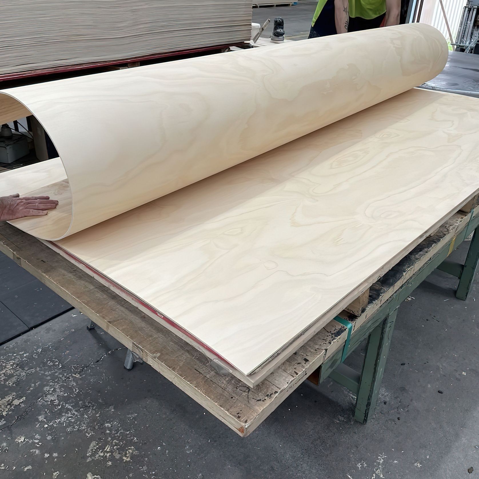 Austral Bendy | Flexible ply for curved applications gallery detail image