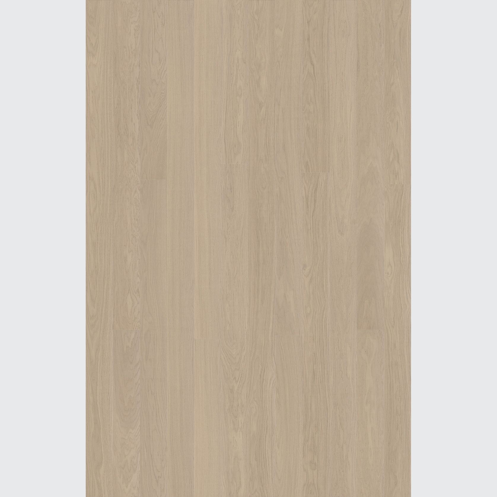 Alor Cove Oak Walls & Ceiling Panelling gallery detail image