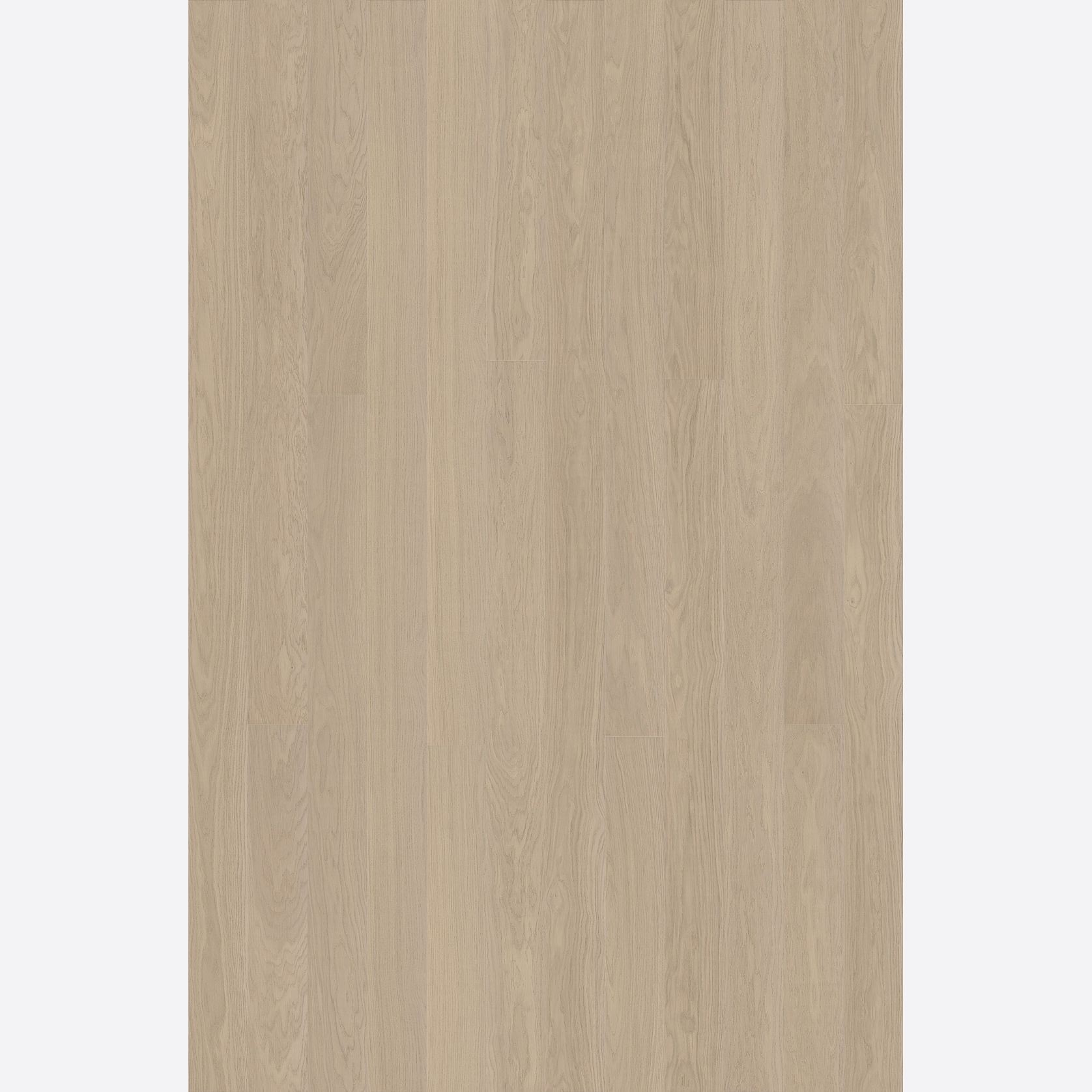 Alor Cove Oak Walls & Ceiling Panelling gallery detail image