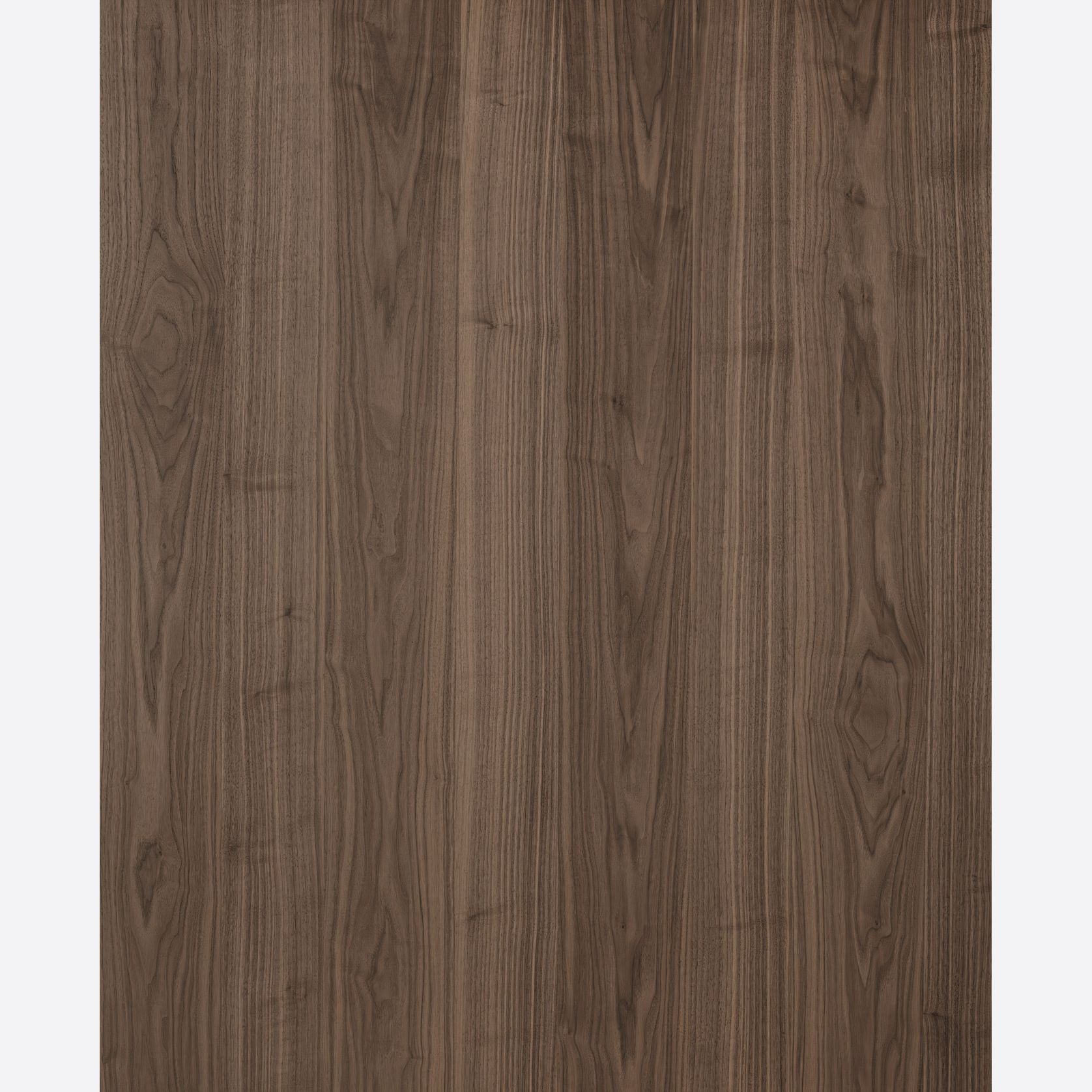 Alor Ember Walnut 1F1B 3050mm Veneer Panel gallery detail image