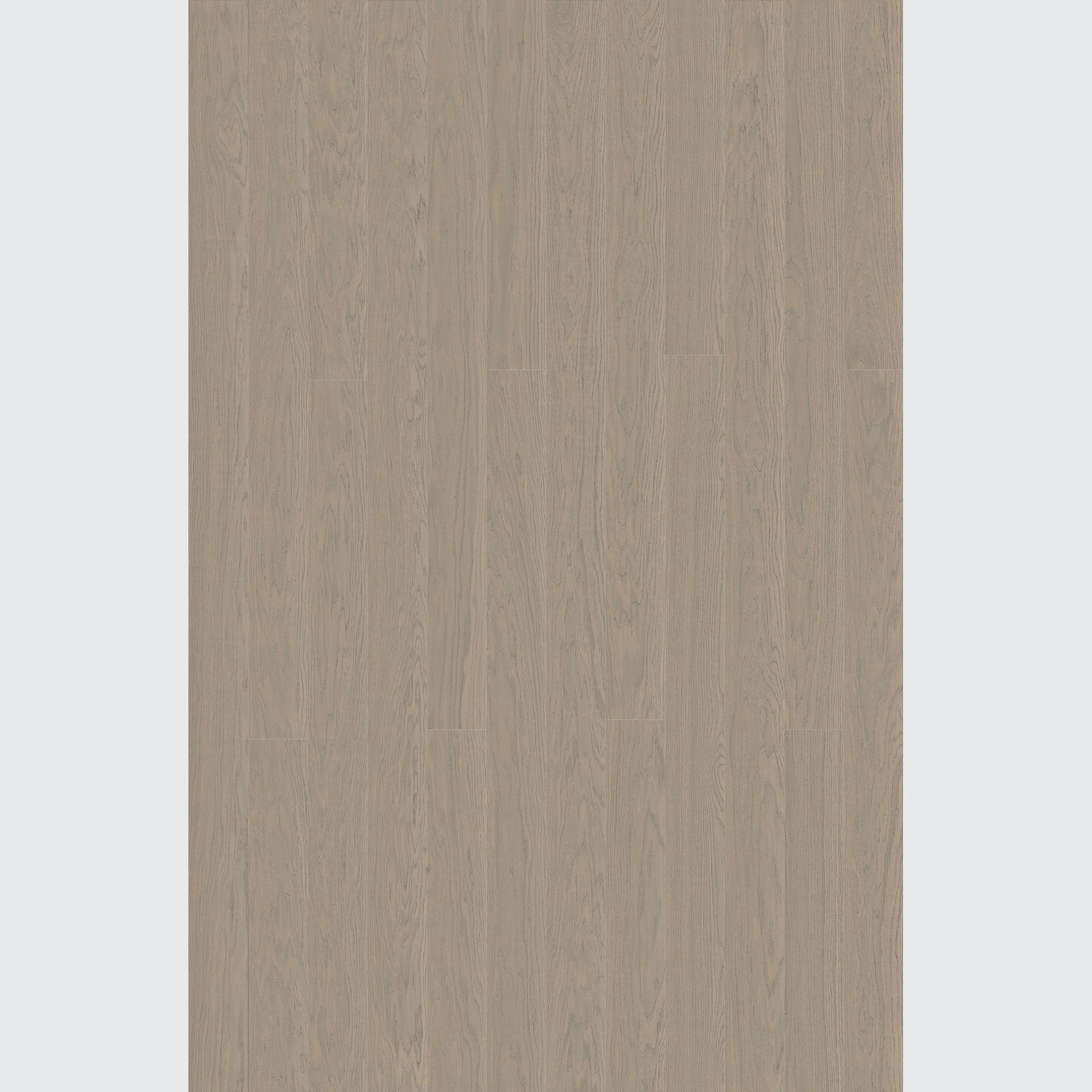 Alor Tusk Oak Walls & Ceiling Panelling gallery detail image