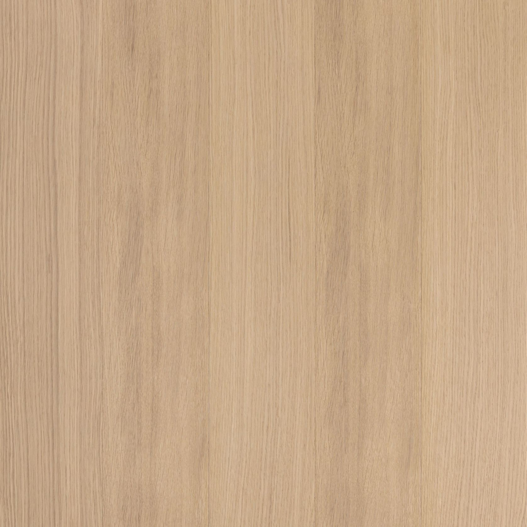 Alor Fawn Oak 1F1B 3050mm Veneer Panel gallery detail image