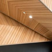 Tongue and Groove Veneer Panels gallery detail image