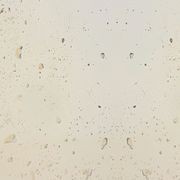 Pitted Concrete Ivory Wall Panel gallery detail image