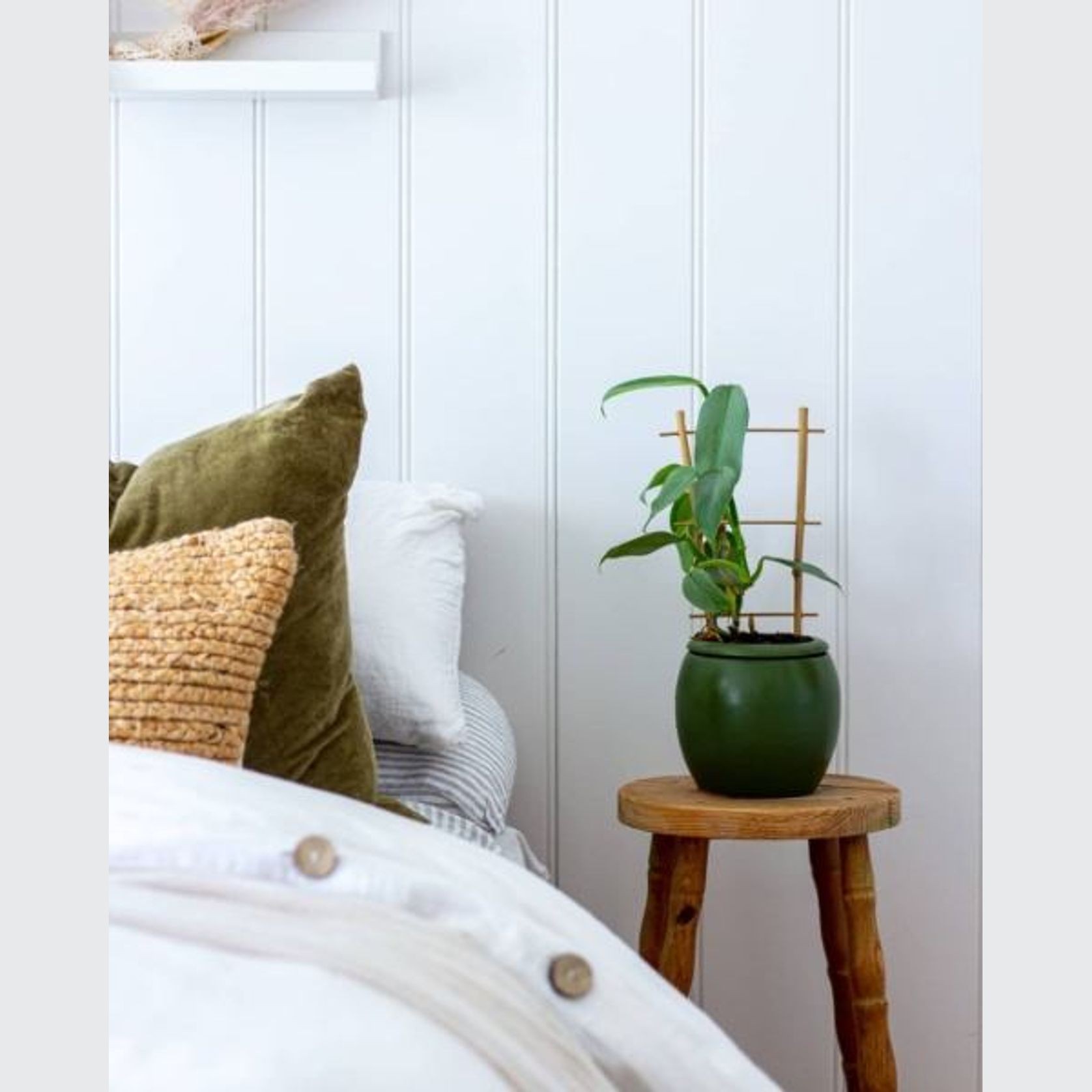 easyREGENCY gallery detail image