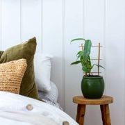 easyREGENCY gallery detail image