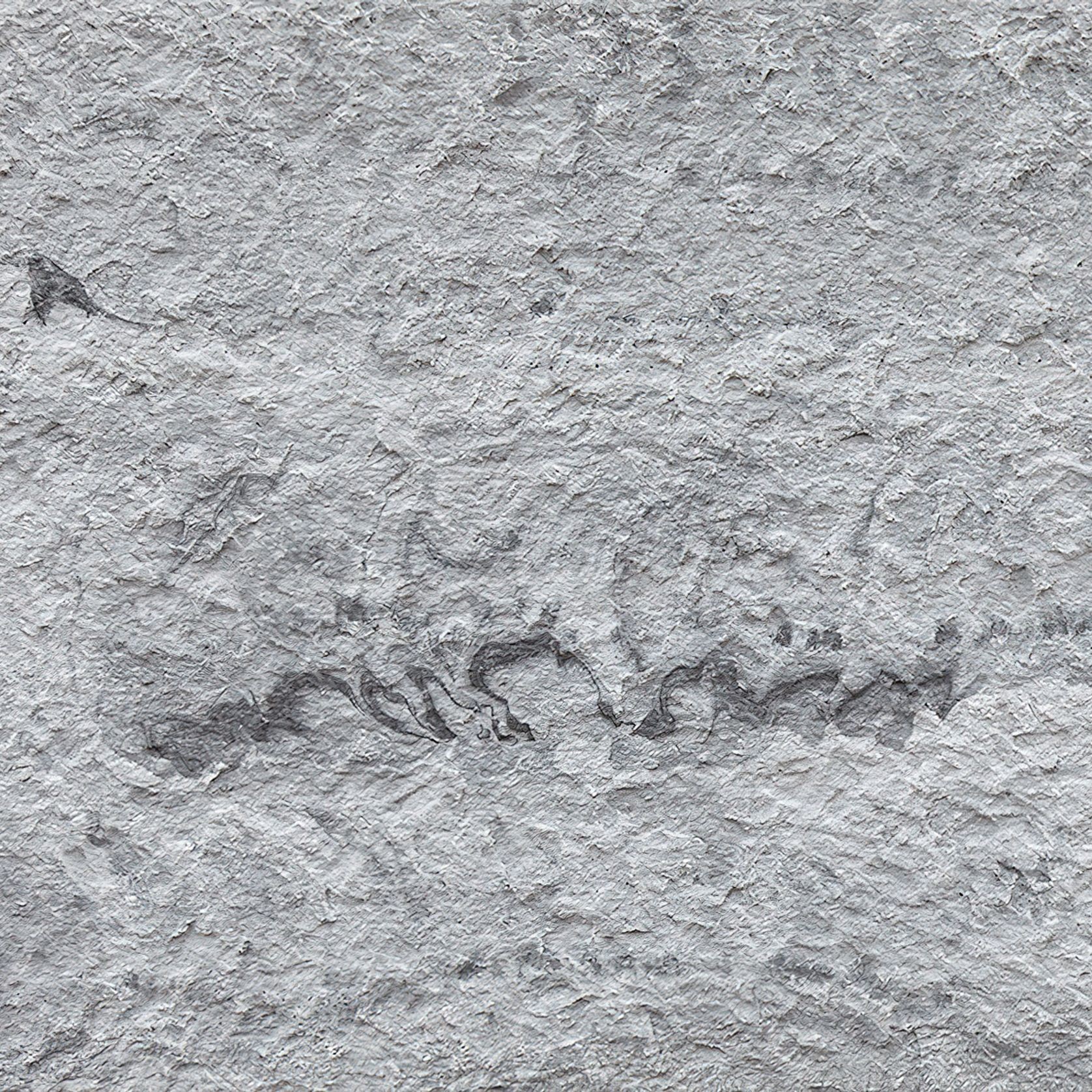 Nicci Pumice Flow 3D Wall Panel gallery detail image