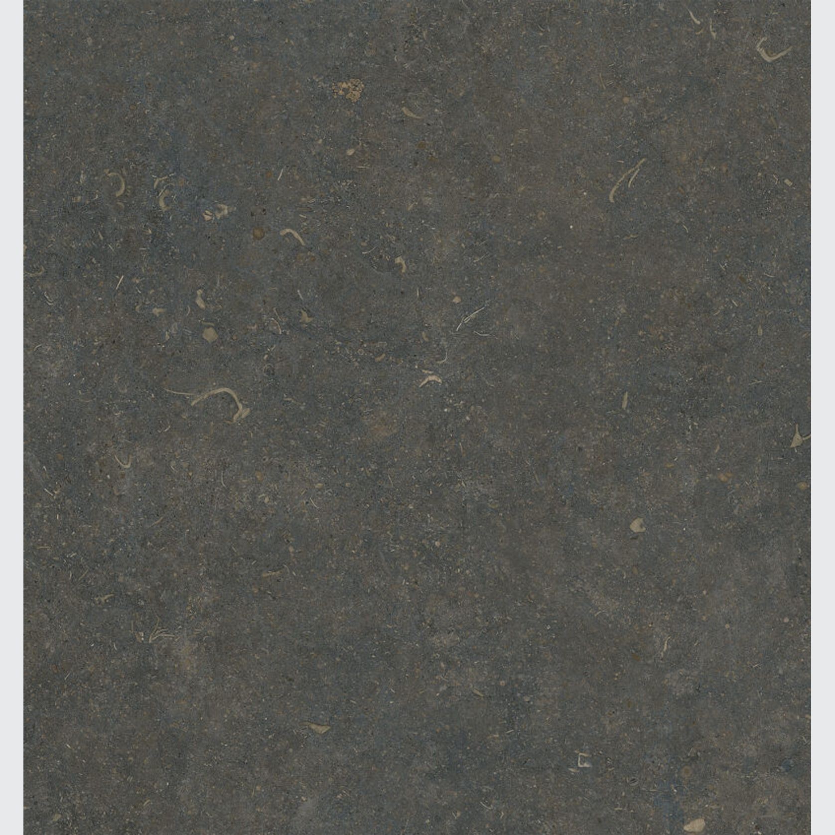 Oda gallery detail image