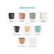 Connect Premium Pots gallery detail image