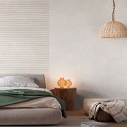 Evolutia gallery detail image