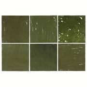 Raya Botanic Gloss gallery detail image