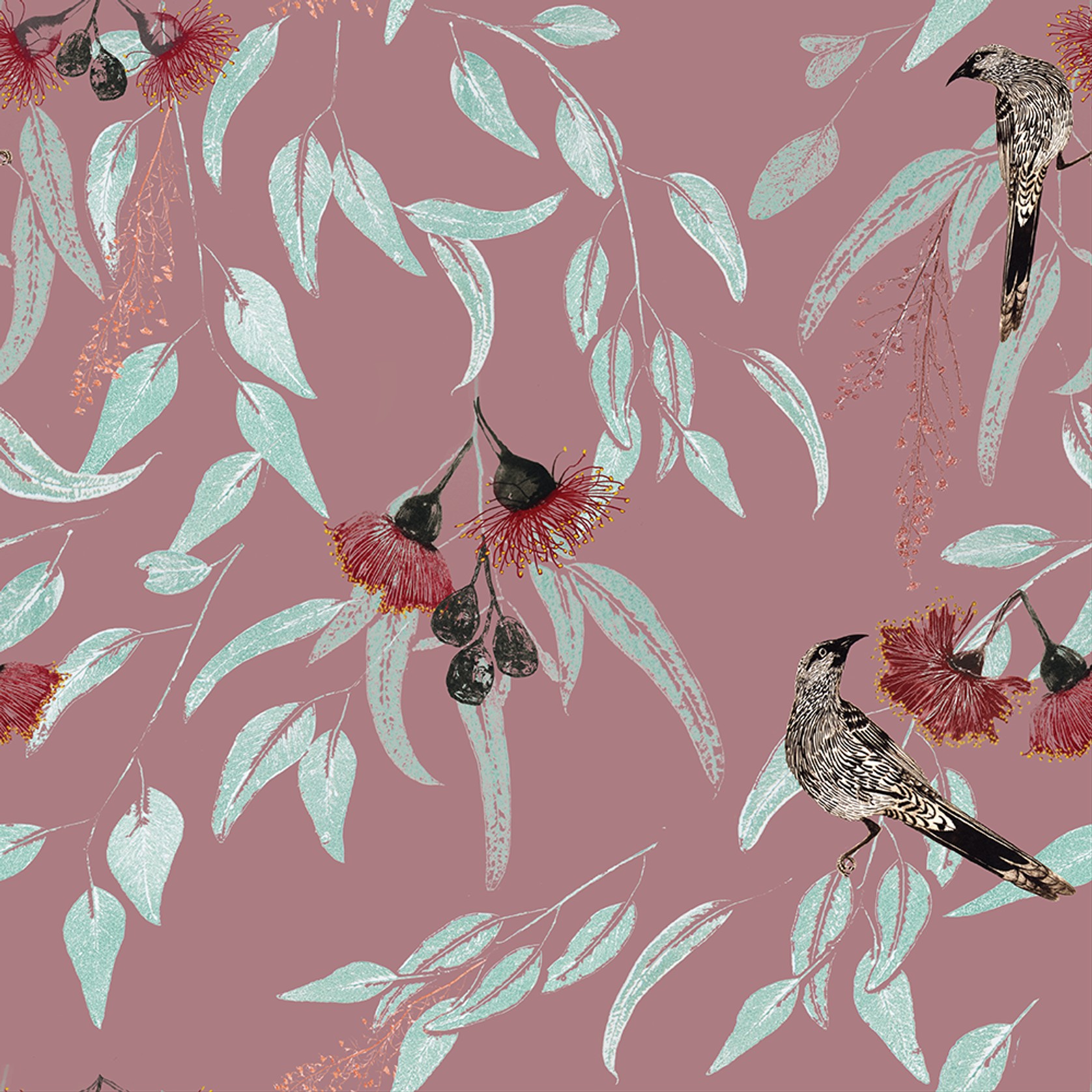 Silver Princess Wattlebird Wallpaper- Pink gallery detail image