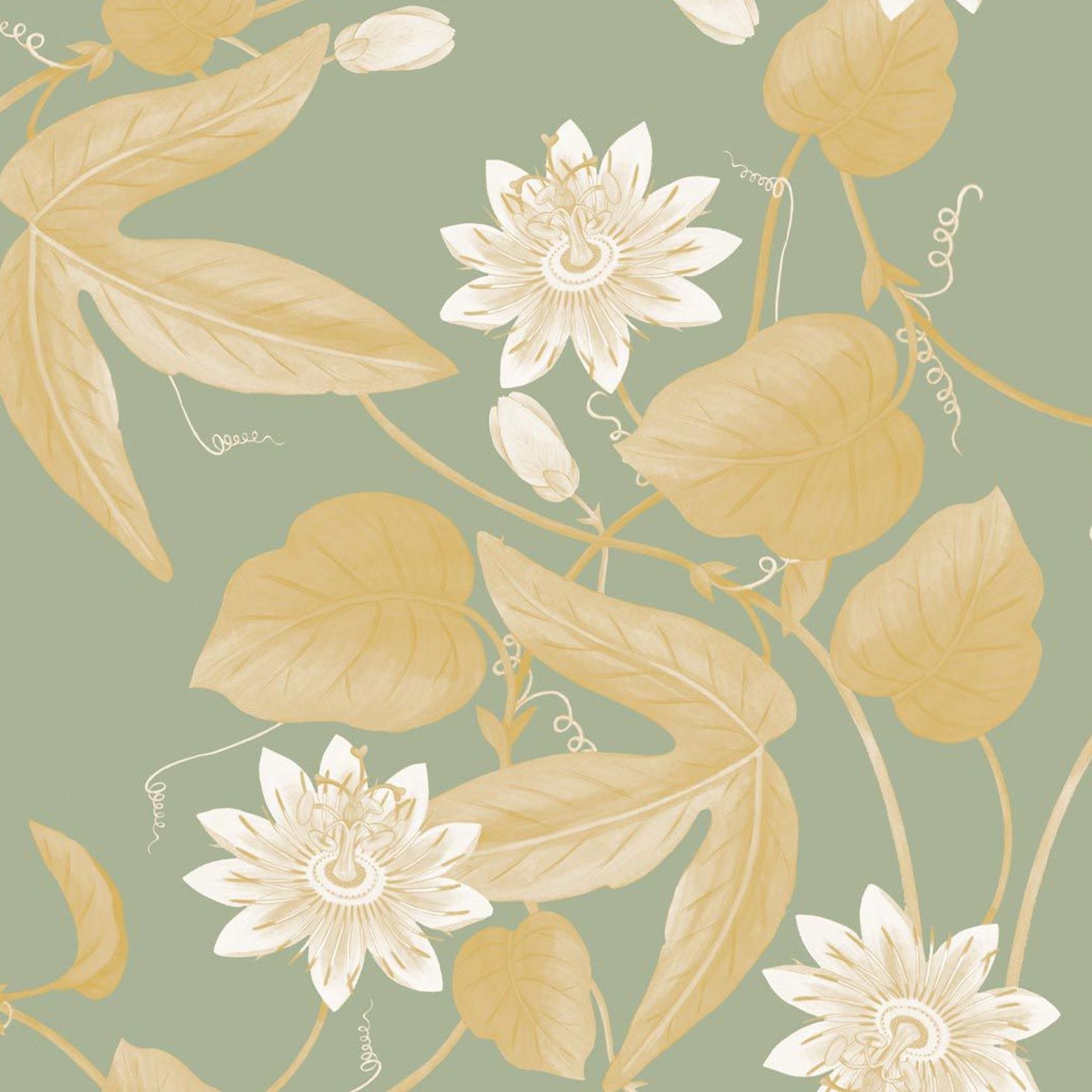 Passiflora Wallpaper gallery detail image