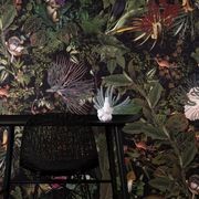 Menagerie Of Extinct Animals by Moooi x Arte gallery detail image