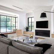 Fixed Steel Windows gallery detail image