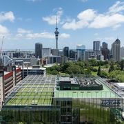 X-Tend® Tensile Mesh Netting gallery detail image