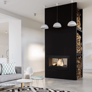 Axis L1000 DS Doubles Sided Zero Clearance Fireplace gallery detail image