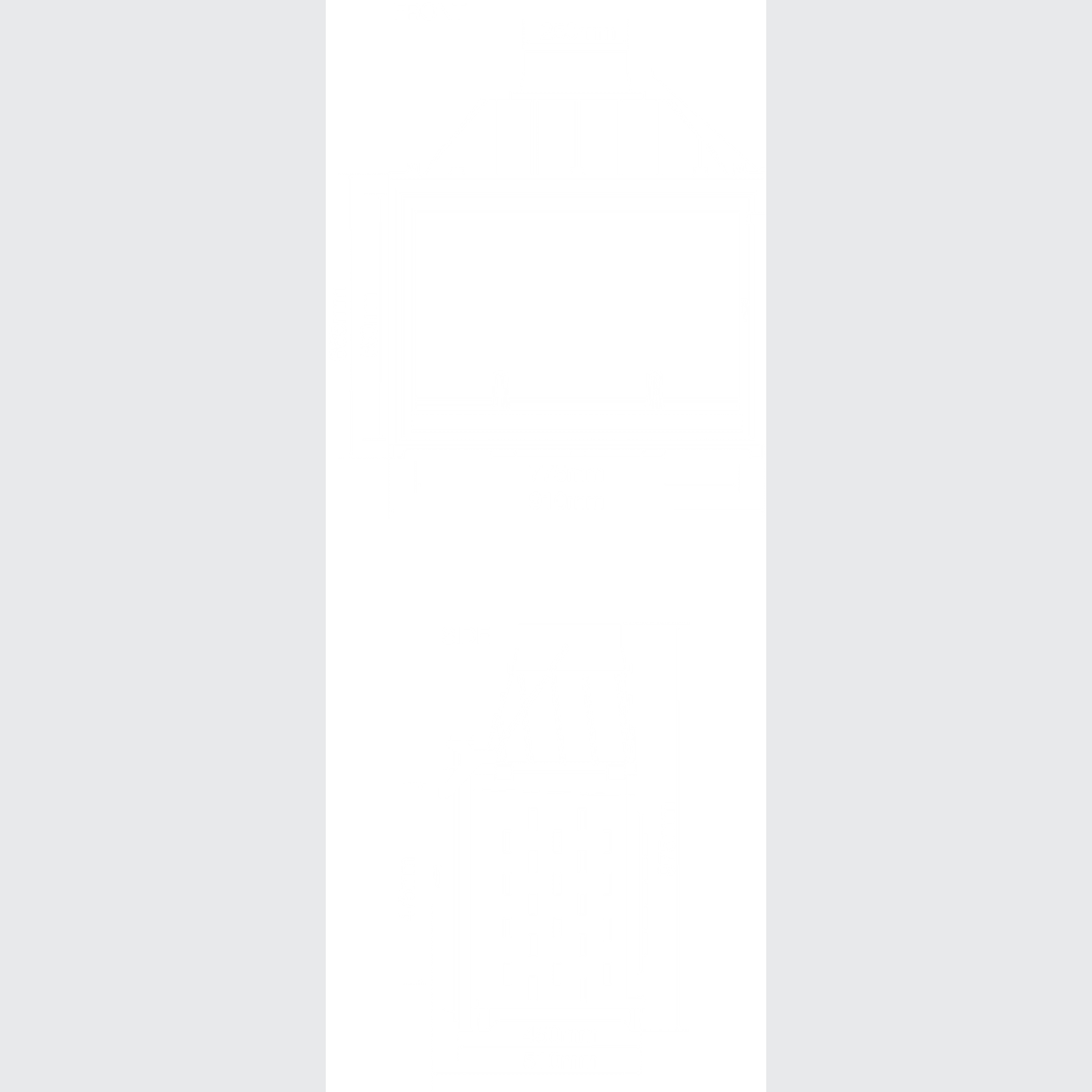 Seguin Super 9 Cheminee Fireplace - Swing Door gallery detail image