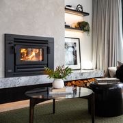 Xander Insert Wood Burner Fireplace gallery detail image