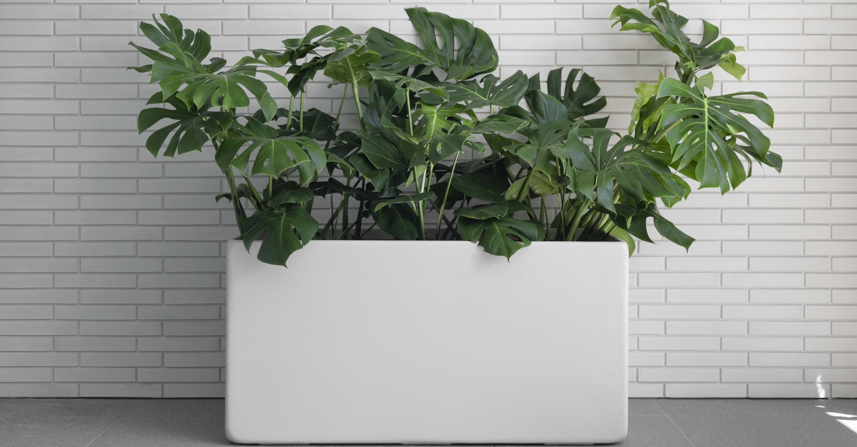 More than greenery: How planters are transforming commercial architecture