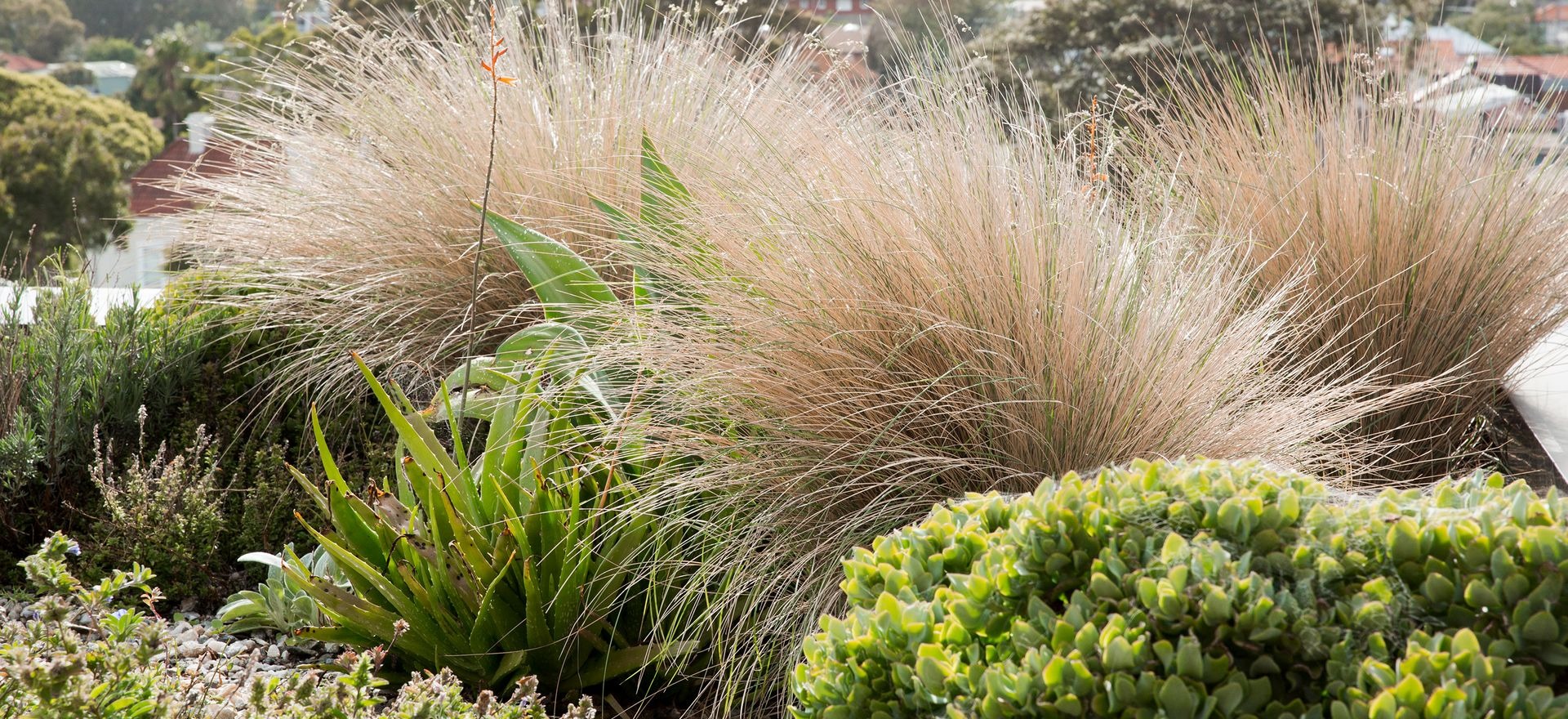 Inspiring front garden ideas for your home from across Australia