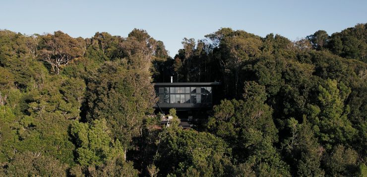 Soulful escapes: the tranquil magic of a moody rainforest retreat