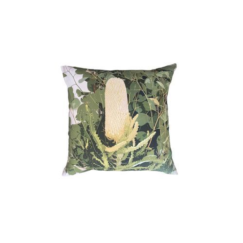 Cushion - Banksia Organic Cotton