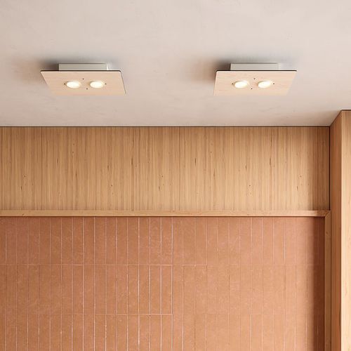 Equal Twin Ceiling Light