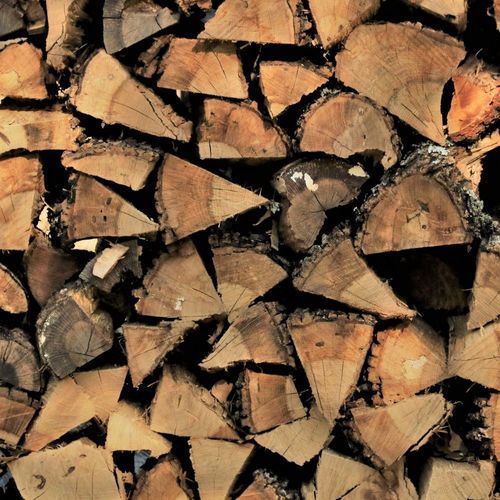 Haus Collective Firewood