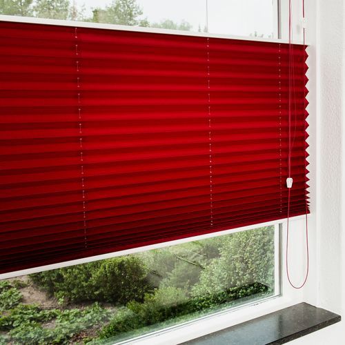 Framed Twin Pleated Blind | Pleated Blinds
