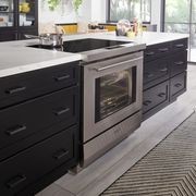 Wolf Induction Range gallery detail image