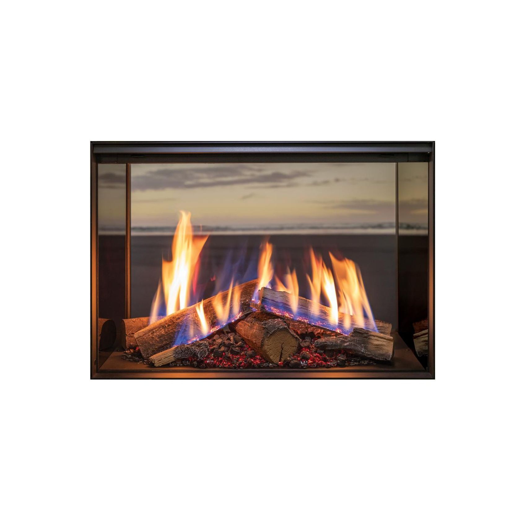 Rinnai LS 800 D/S Gas Fireplace gallery detail image