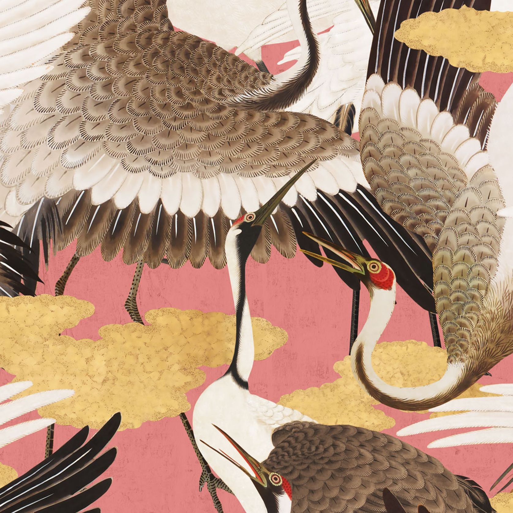 Cranes Wallpaper gallery detail image