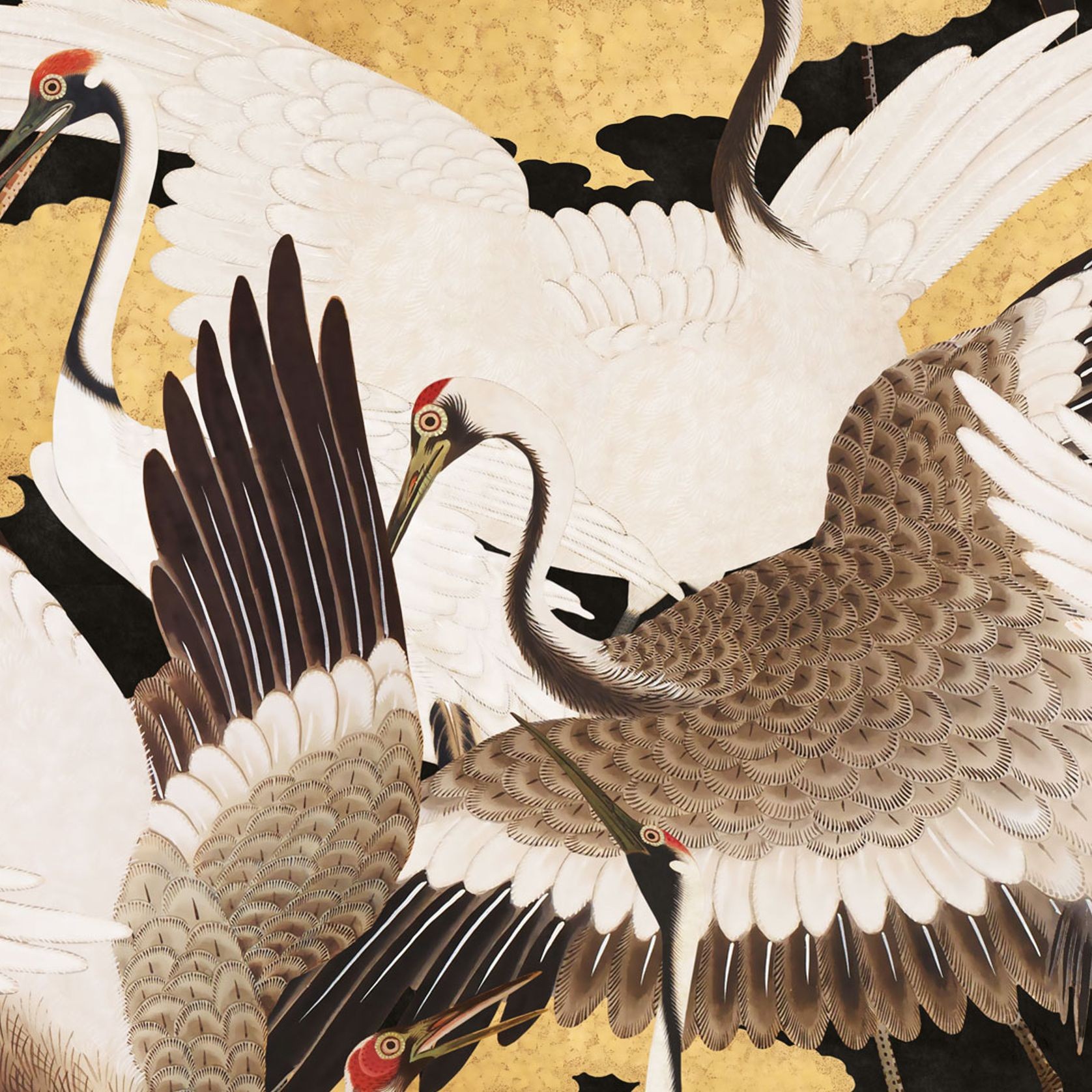 Cranes Wallpaper gallery detail image