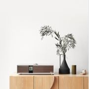 Ruark Audio R410 Integrated Music System gallery detail image