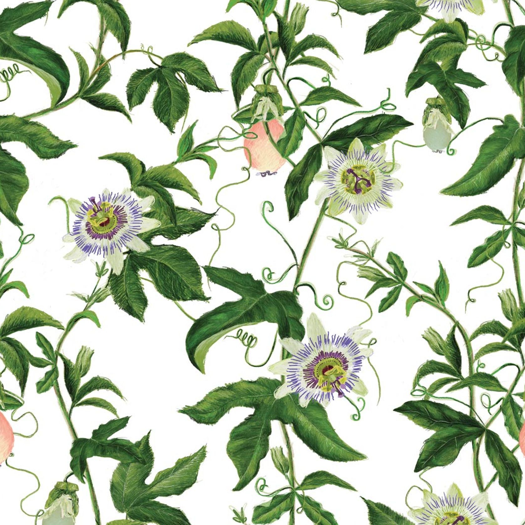 Passion Wallpaper | ArchiPro AU