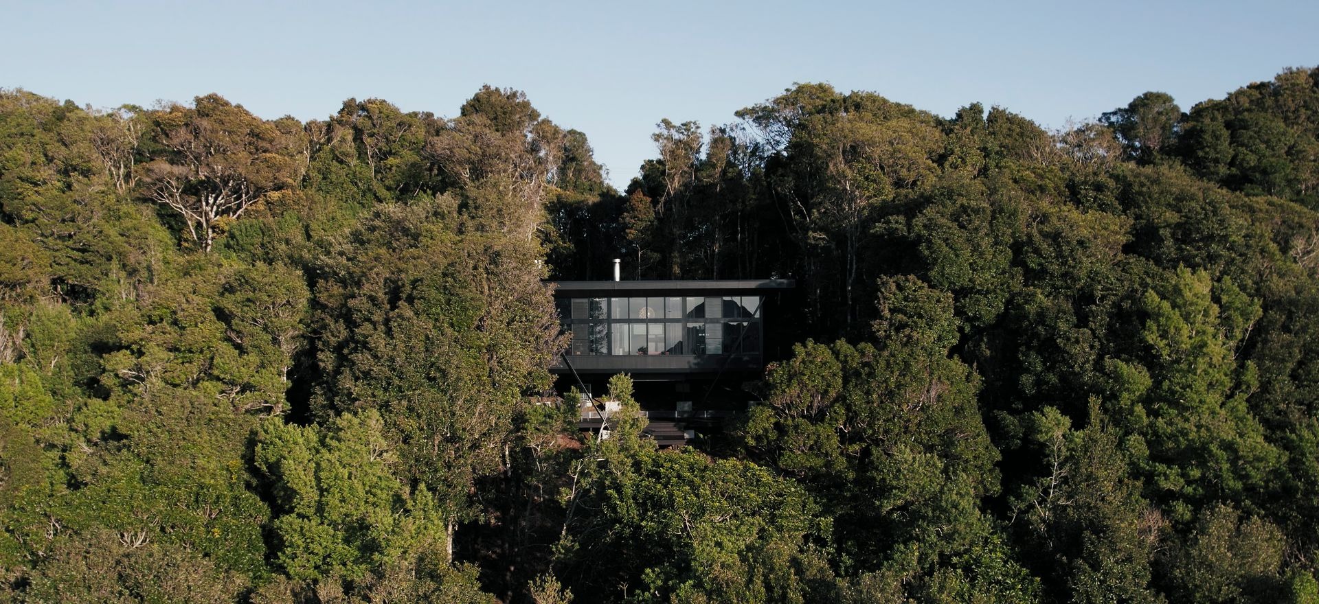 Soulful escapes: the tranquil magic of a moody rainforest retreat