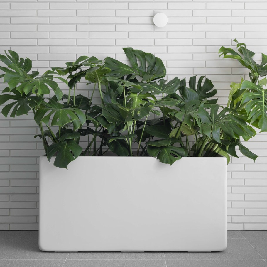 More than greenery: How planters are transforming commercial architecture