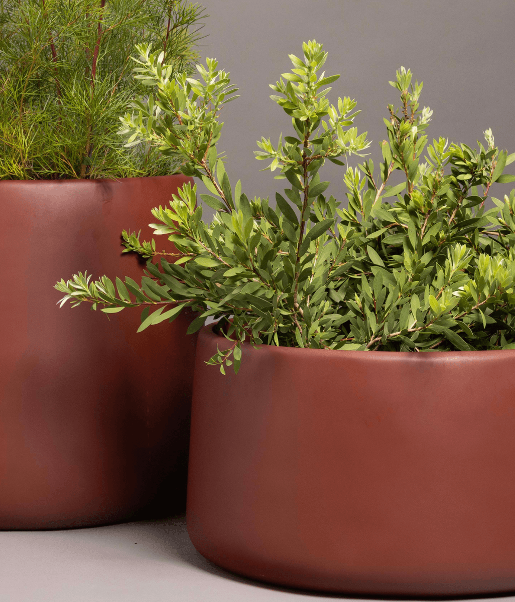 Designing with the Elements