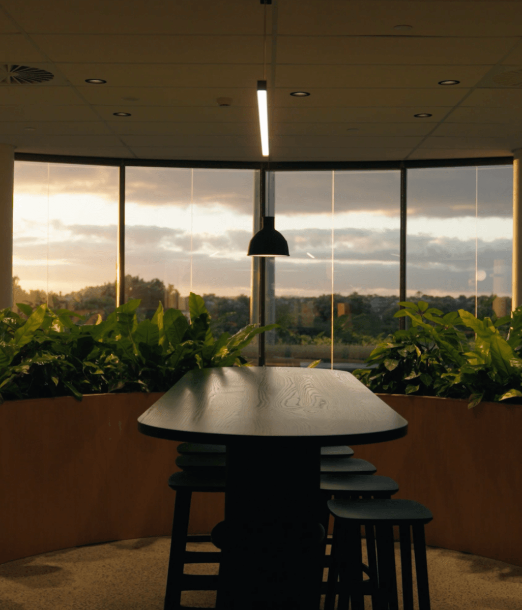 Creating a productive environment: how plants boost employee morale and creativity