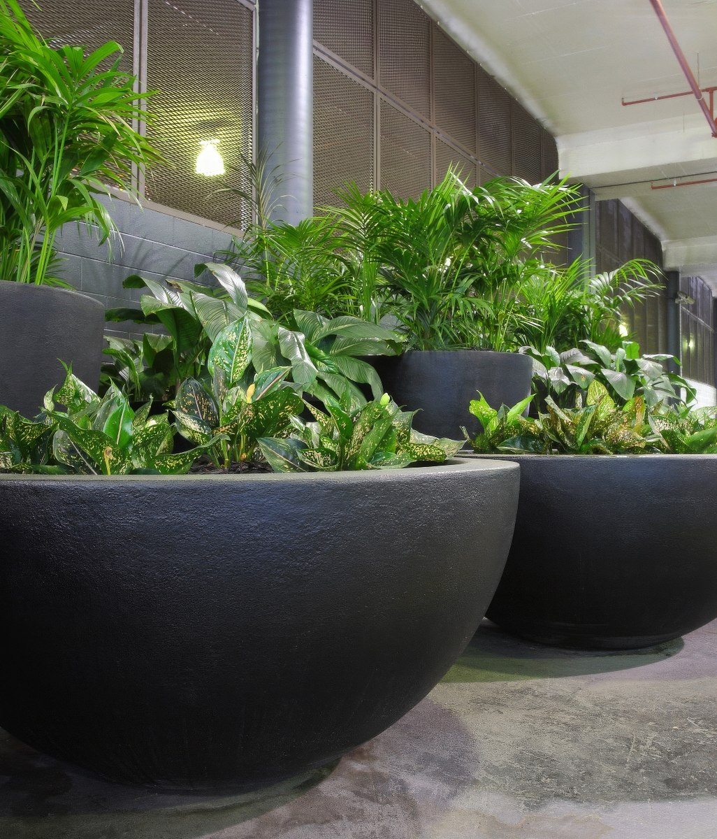 Versatile Lightweight Pots Create Beautiful Garden