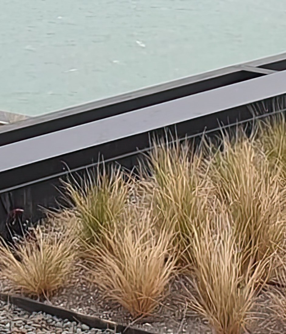 Roof Gardens for Medium Density Housing