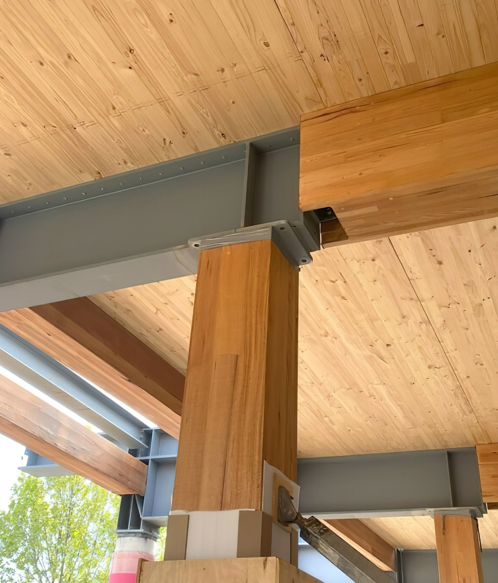 Harnessing the power of certification: How choosing certified timber can help stamp out deforestation