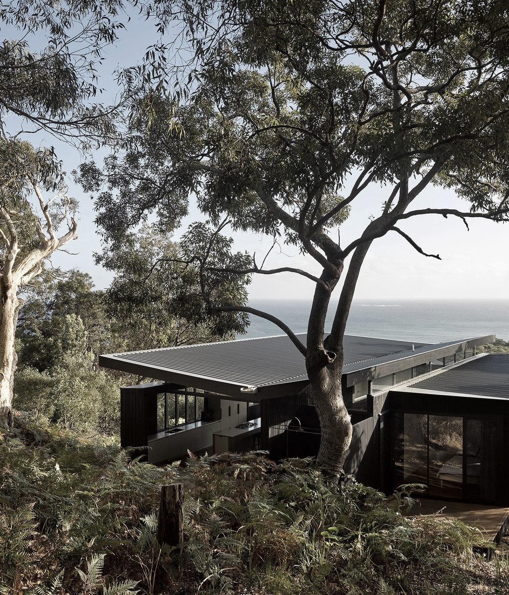 A modern island ‘beach shack’ where the bush meets the sea
