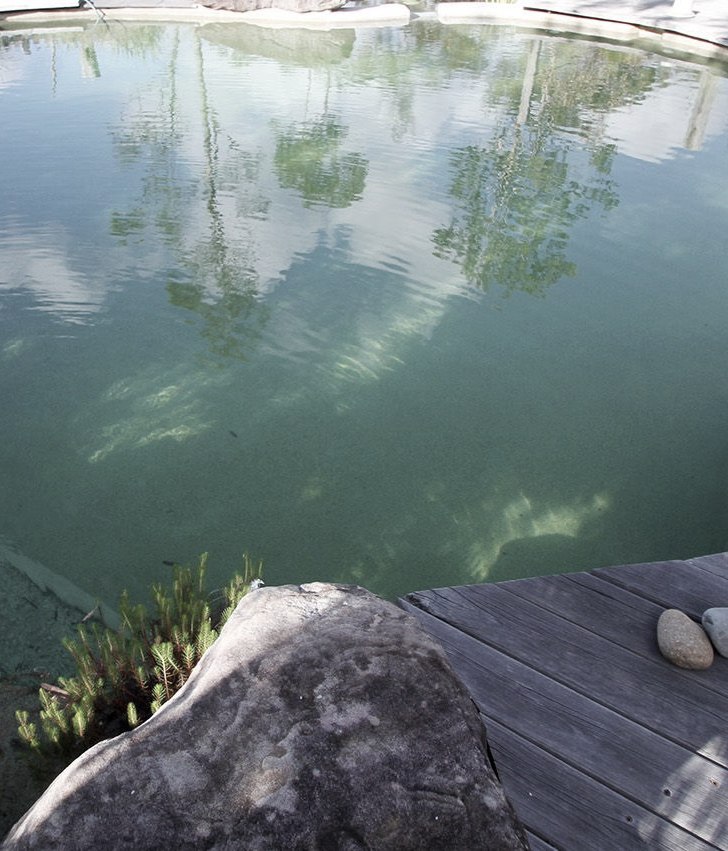 WILDLIFE AND NATURAL POOLS