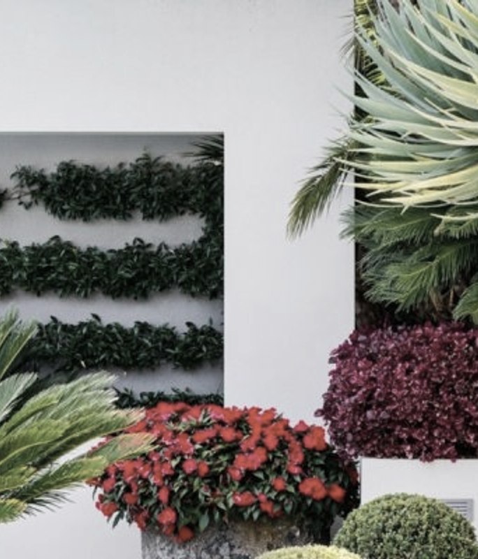 Four expert landscaping tips from Scott Humphreys
